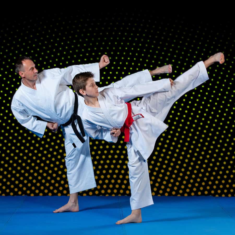 Martial Arts Lessons for Families in Alexandria VA - Dad and Son High Kick